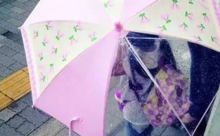 美国花雨伞眼镜怎么样，美国花雨伞眼镜怎么样好用吗